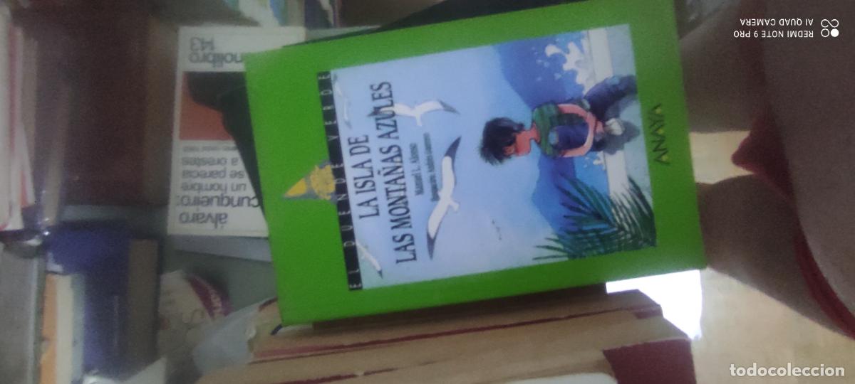 Libros de segunda mano: LA ISLA DE LAS MONTA&Ntilde;AS AZULES MANUEL L. ALONSO ED. ANAYA