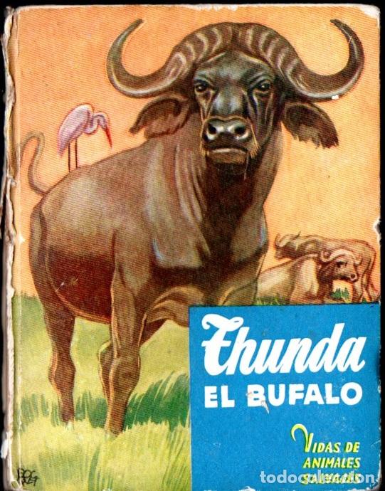 Libros de segunda mano: BERNARD RUTLEY : THUMDA EL B&Uacute;FALO (ANIMALES SALVAJES MOLINO)