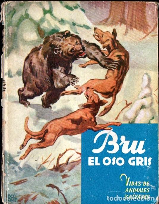 Libros de segunda mano: BERNARD RUTLEY : BRU EL OSO GRIS (ANIMALES SALVAJES MOLINO)