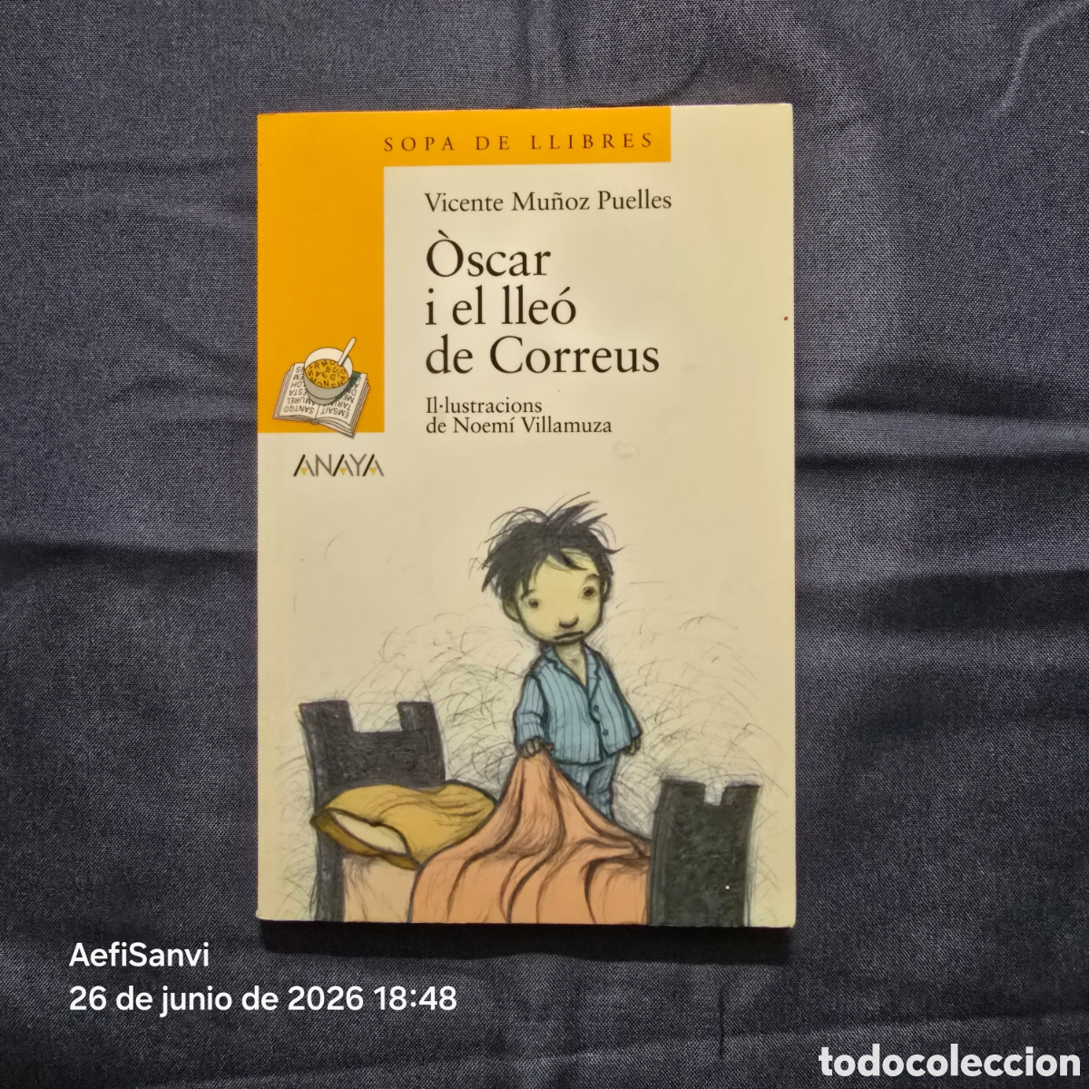 Libros de segunda mano: &Ograve;SCAR I EL LLE&Oacute; DE CORREUS (VICENTE MU&Ntilde;OZ PUELLES) (SOPA DE LLIBRES, ANAYA)