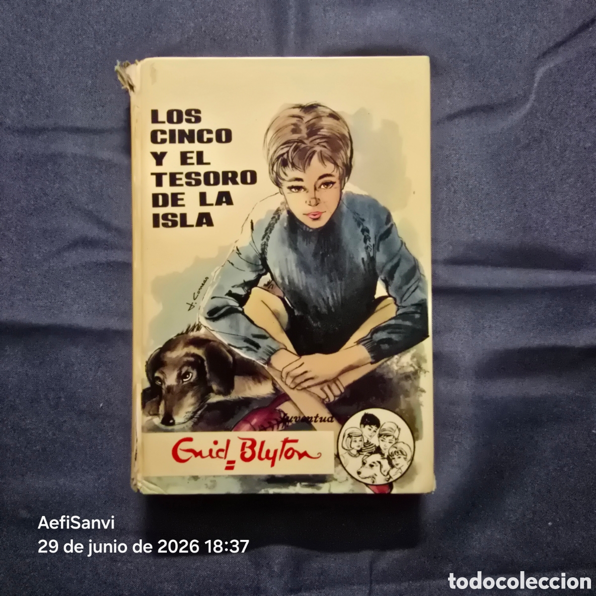 Libros de segunda mano: LOS CINCO 22: LOS CINCO Y EL TESORO DE LA ISLA (ENID BLYTON) (JUVENTUD)