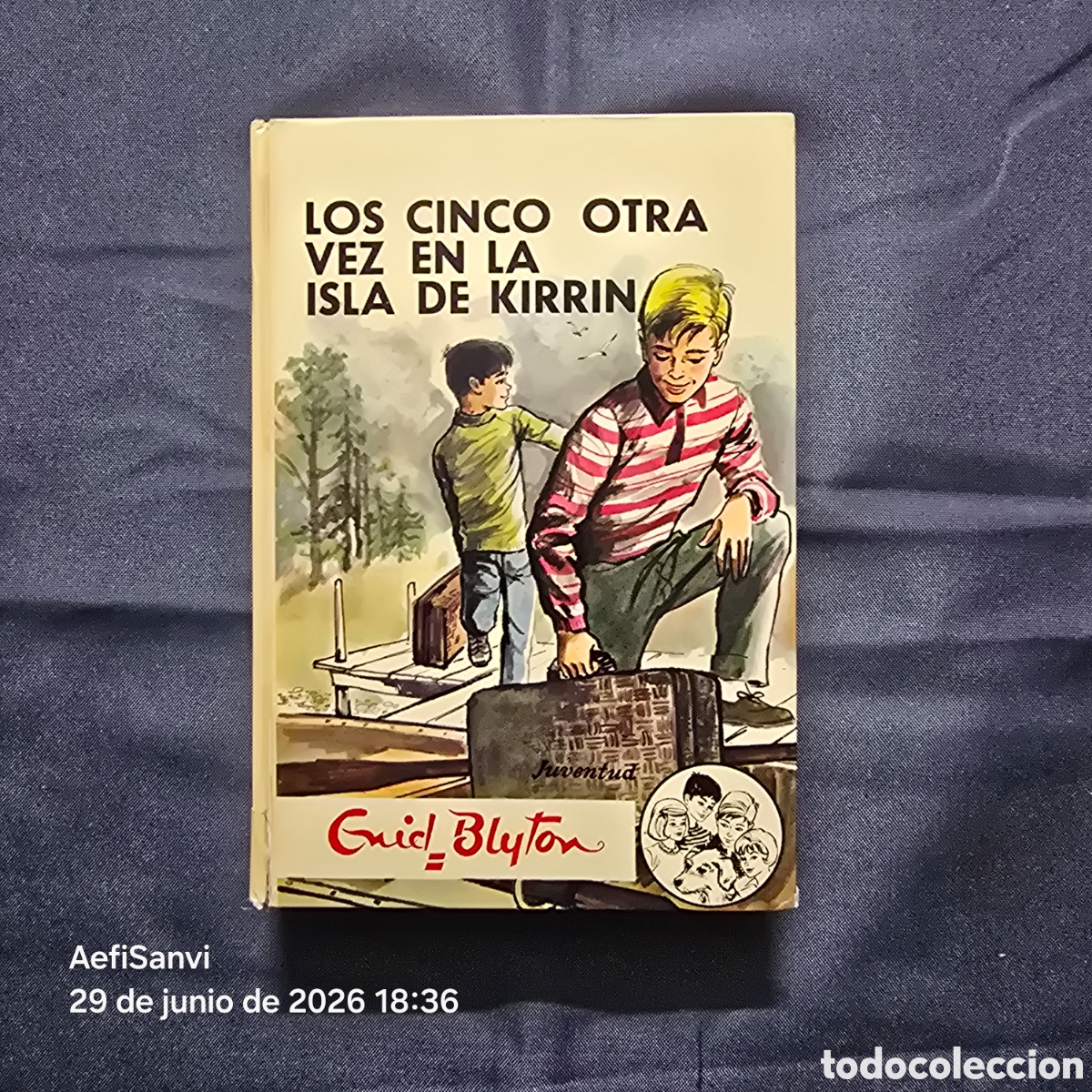 Libros de segunda mano: LOS CINCO 26: LOS CINCO OTRA VEZ EN LA ISLA DE KIRRIN (ENID BLYTON) (JUVENTUD)