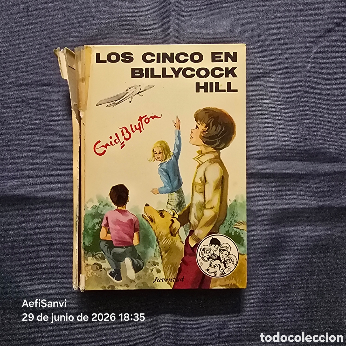 Libros de segunda mano: LOS CINCO 39: LOS CINCO EN BILLYCOCK HILL (ENID BLYTON) (JUVENTUD)