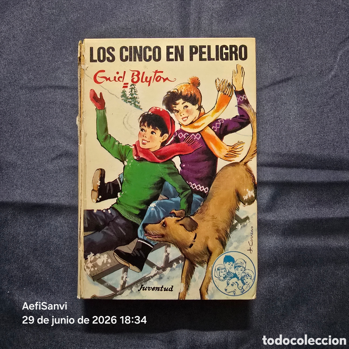 Libros de segunda mano: LOS CINCO 38: LOS CINCO EN PELIGRO (ENID BLYTON) (JUVENTUD)
