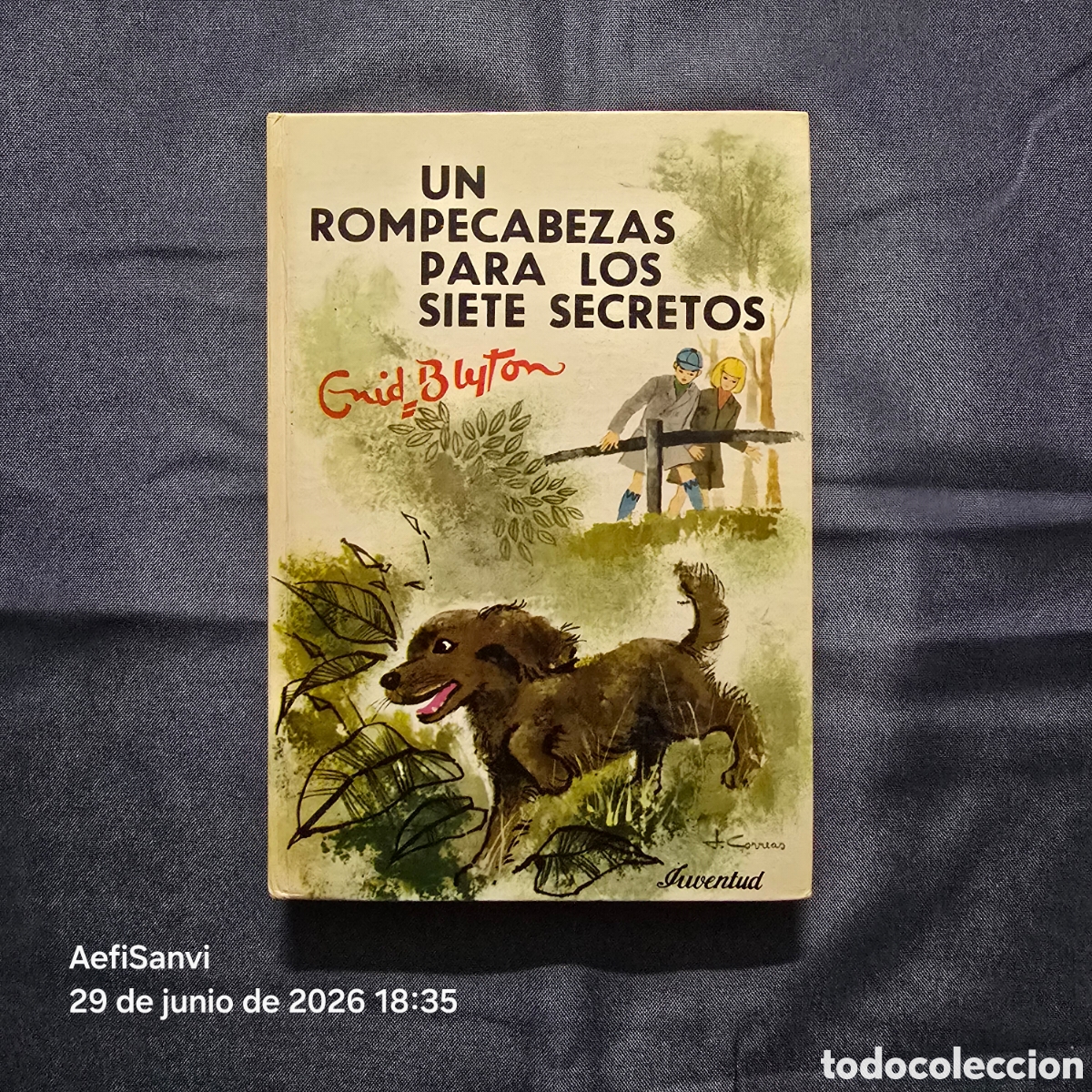 Libros de segunda mano: SIETE SECRETOS 10: UN ROMPECABEZAS PARA LOS SIETE SECRETOS (ENID BLYTON) (JUVENTUD)