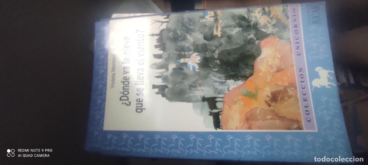Libros de segunda mano: Col. Unicornio, &iquest;D&oacute;nde va la Nieve que se Lleva el Viento - Violeta Monreal - Ed. J&uacute;car, 1990