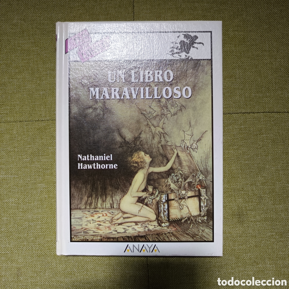 Gebrauchte B&uuml;cher: Un libro maravilloso. HAWTHORNE, Nathaniel. 1&ordf; edici&oacute;n, 1992. Anaya TUS LIBROS