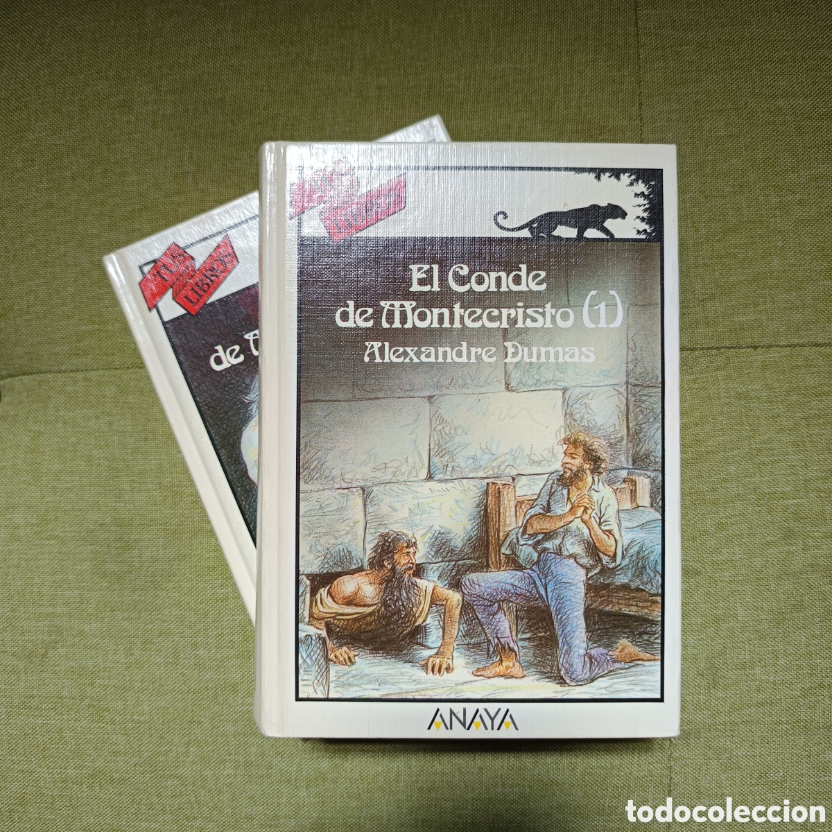 Gebrauchte B&uuml;cher: El conde de Montecristo (2 vols.). DUMAS, Alexandre. Anaya, TUS LIBROS, 1999