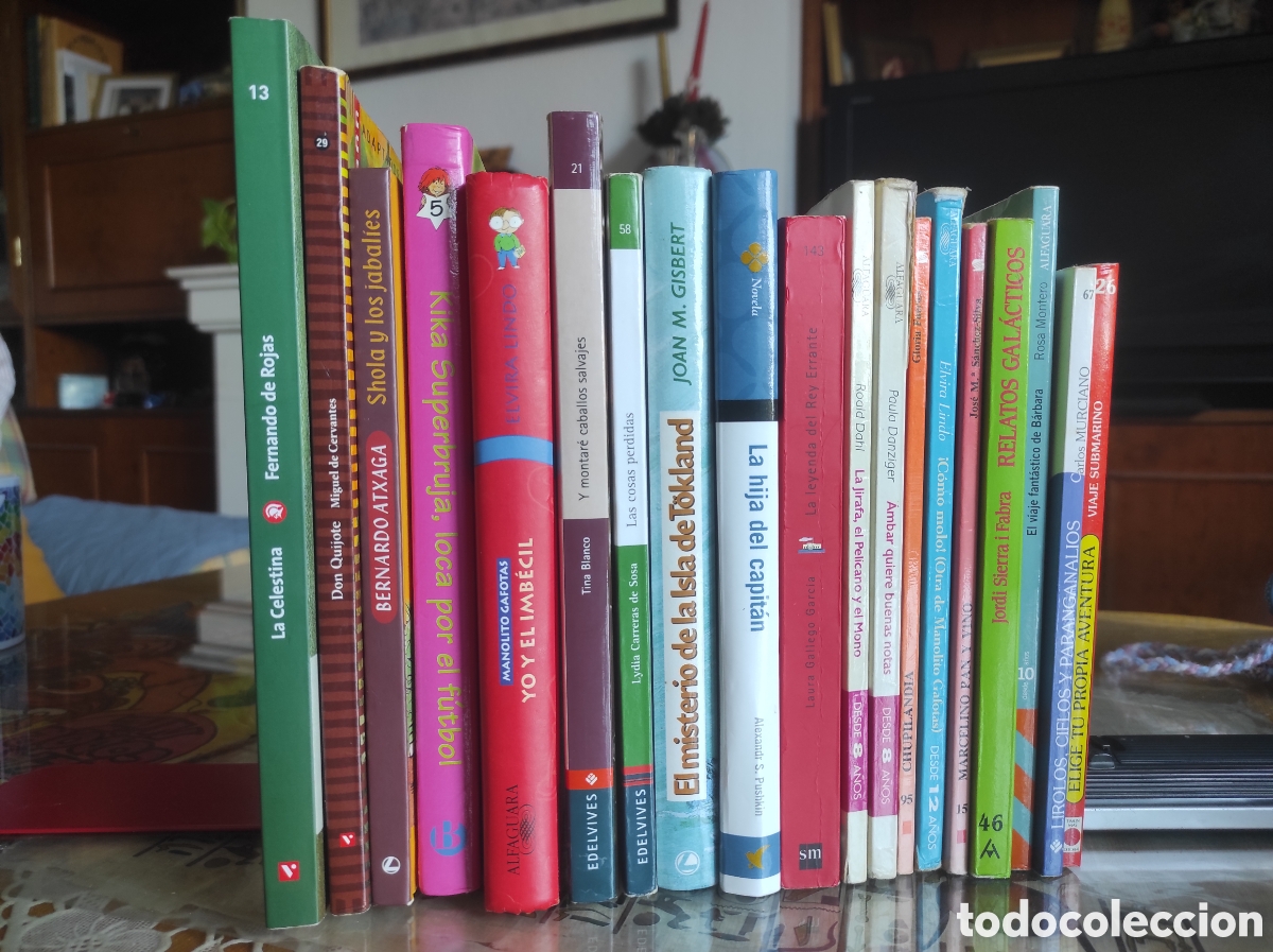 Libros de segunda mano: Lote de 19 libros novelas y cuentos cl&aacute;sicos infantiles