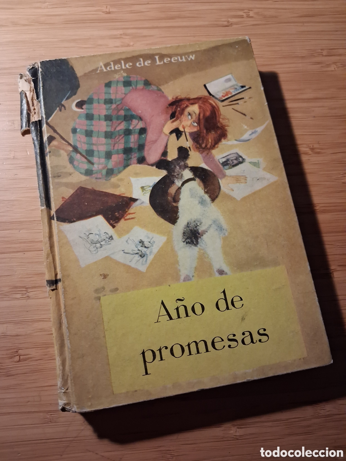 Libros de segunda mano: A&ntilde;o de promesas - Adele de Leeuw (Molino 1957)