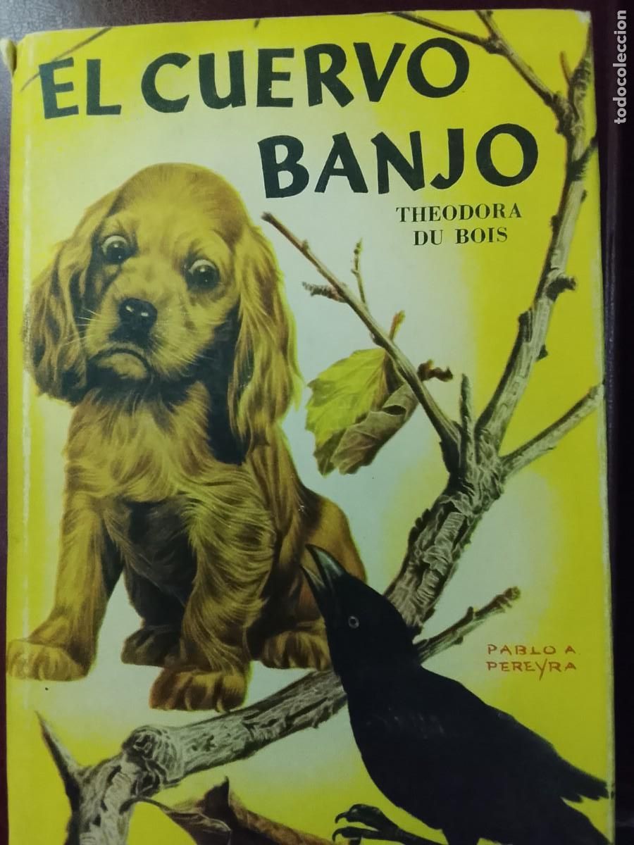 Libros de segunda mano: EL CUERVO BANJO - Theodora DuBois - Colecci&oacute;n Robin Hood 1&ordf; EDICI&Oacute;N 1954 - Con Sobrecubierta