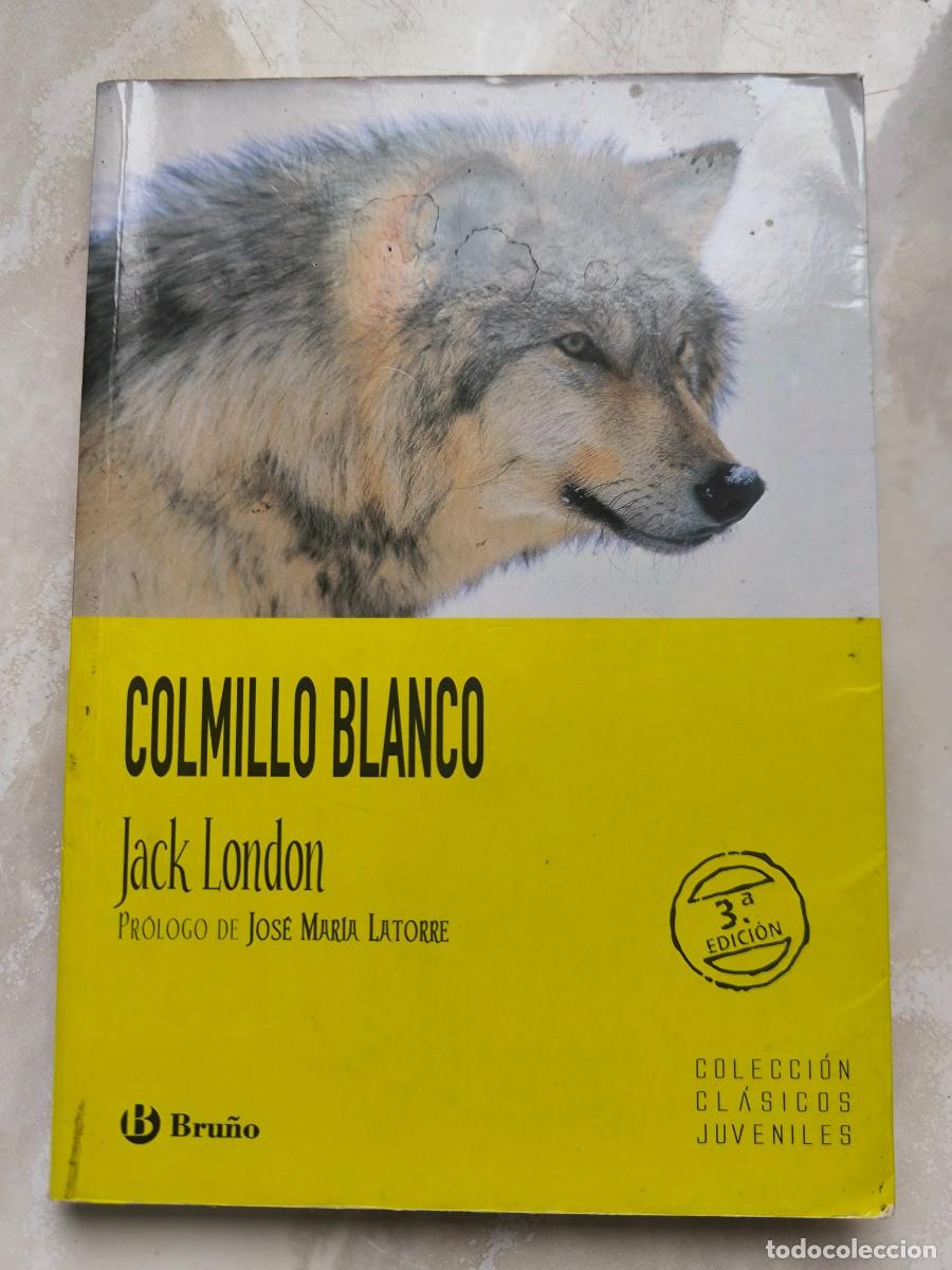 Libros de segunda mano: COLECCI&Oacute;N - CL&Aacute;SICOS JUVENILES - - Colmillo blanco -Jack London - Bru&ntilde;o