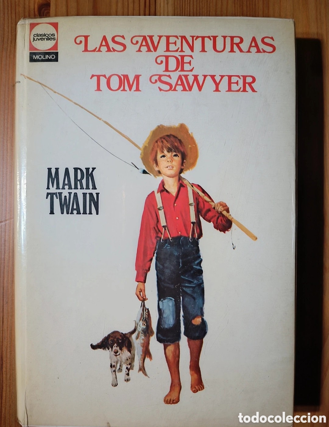 Libros de segunda mano: Las aventuras de Tom Sawyer