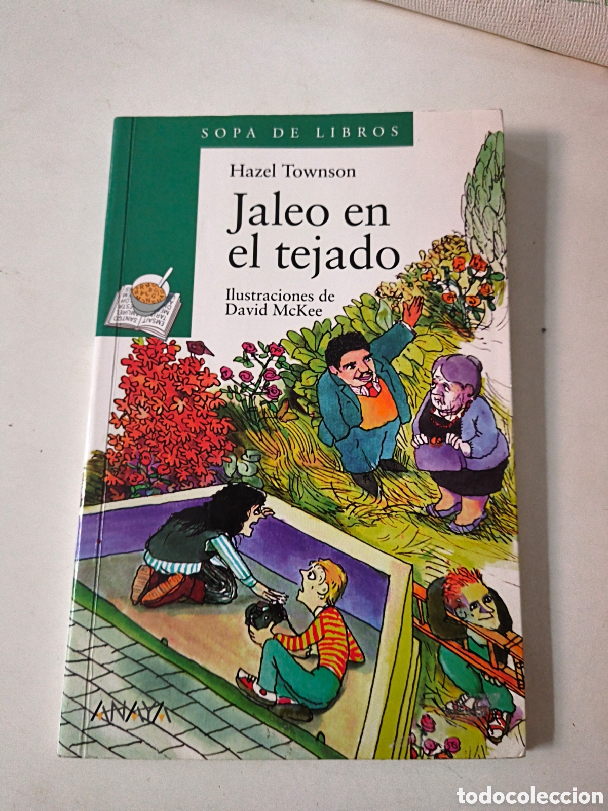 Libros de segunda mano: Jaleo en el tejado. Hazel Towson