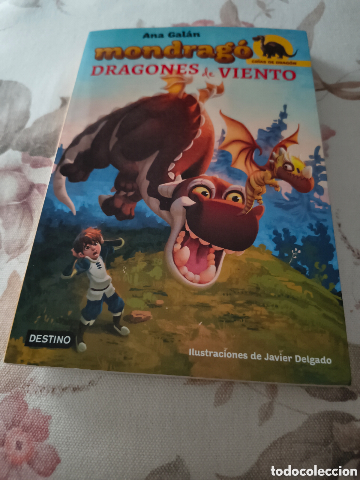 Libri di seconda mano: DRAGONES DE VIENTO DE ANA GALAN (PLANETA)
