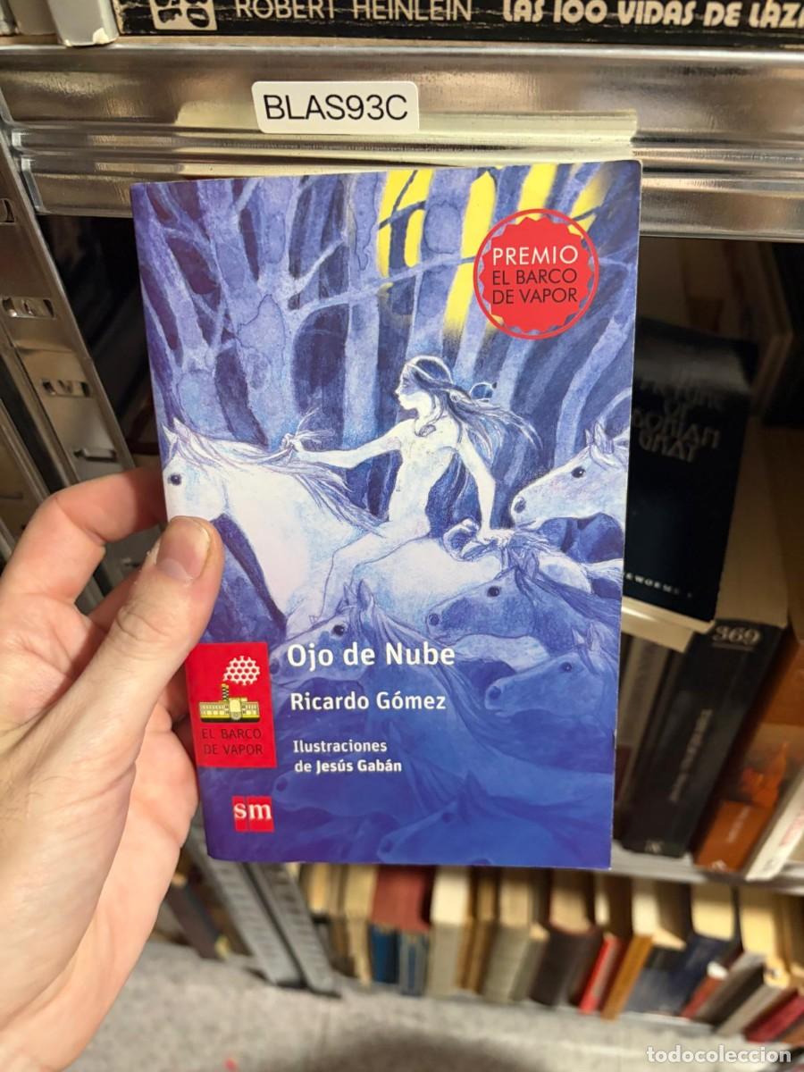 Libros de segunda mano: BLAS93C Ojo de Nube &mdash; Ricardo G&oacute;mez &mdash; Ilustraciones de Jes&uacute;s Gab&aacute;n &mdash; Ediciones SM (El Barco de Vapor