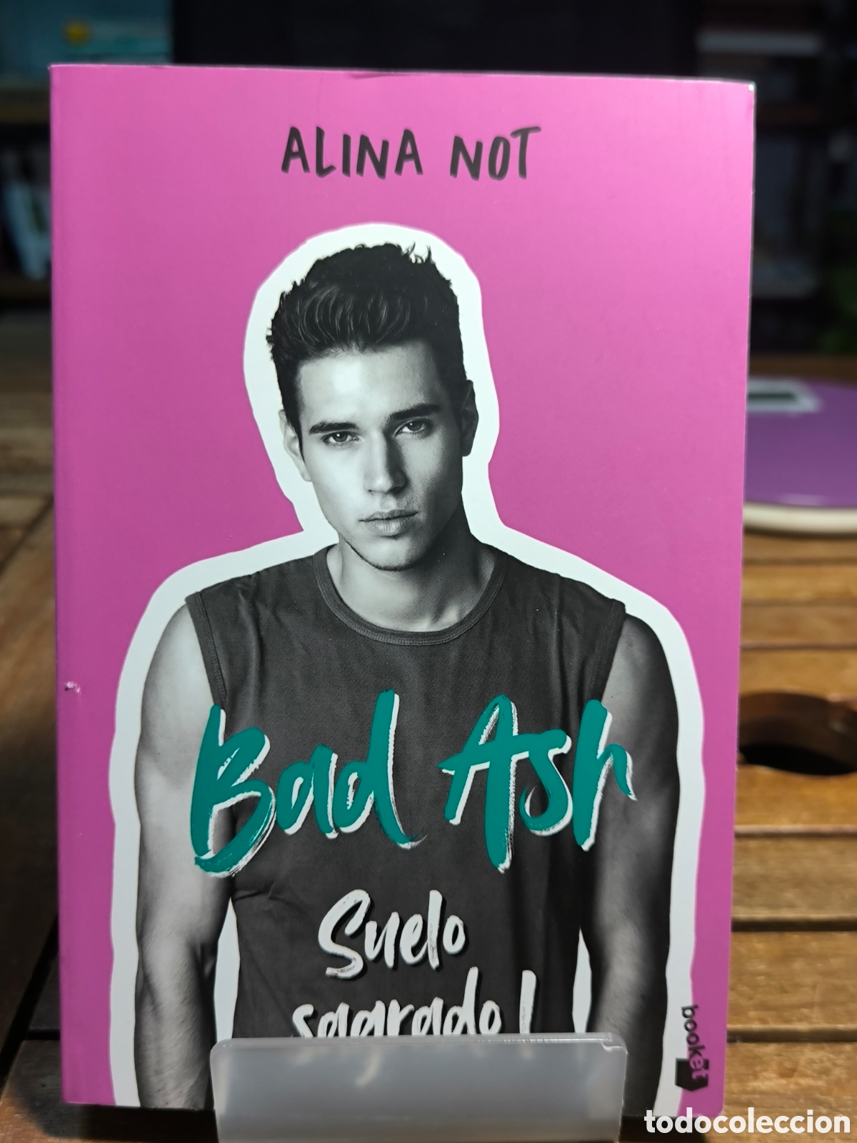 Libros de segunda mano: Bad Ash Suelo sagrado 1 Alina Not 2022