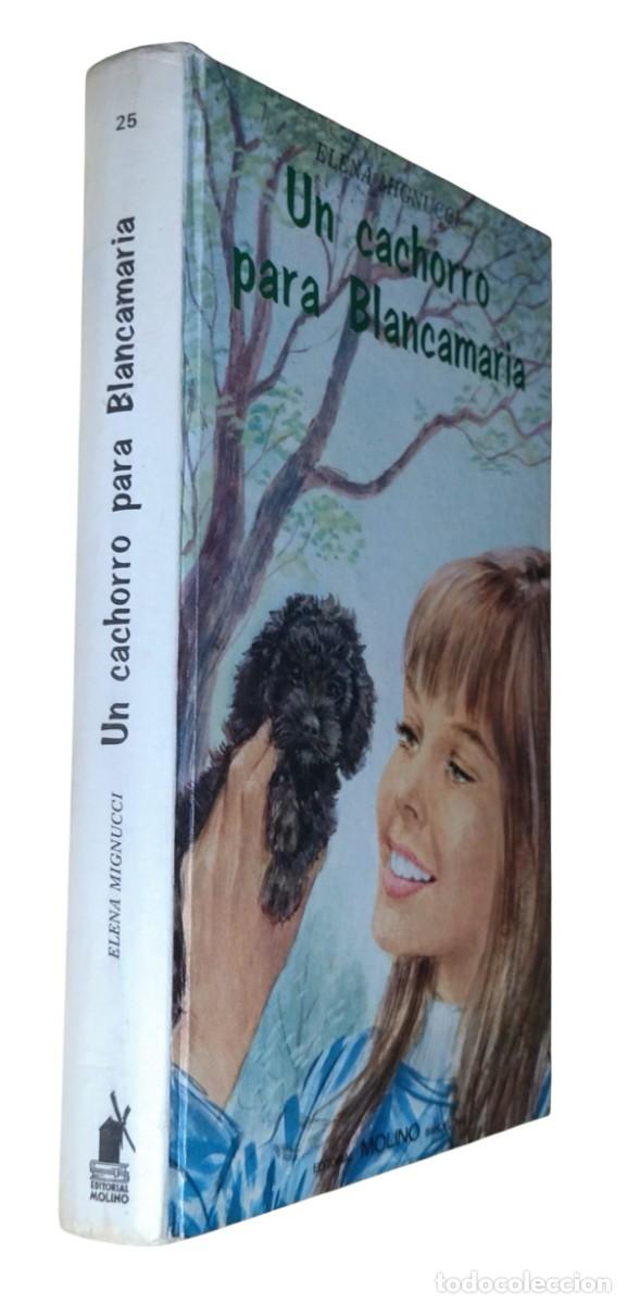 Libros de segunda mano: UN CACHORRO PARA BLANCAMARIA / ELENA MIGNUCCI. MOLINO 1970. CON SOBRECUBIERTA DE PLASTICO.