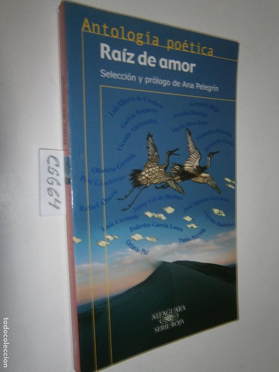 Libros de segunda mano: NOVELA INFANTIL - ANCOR