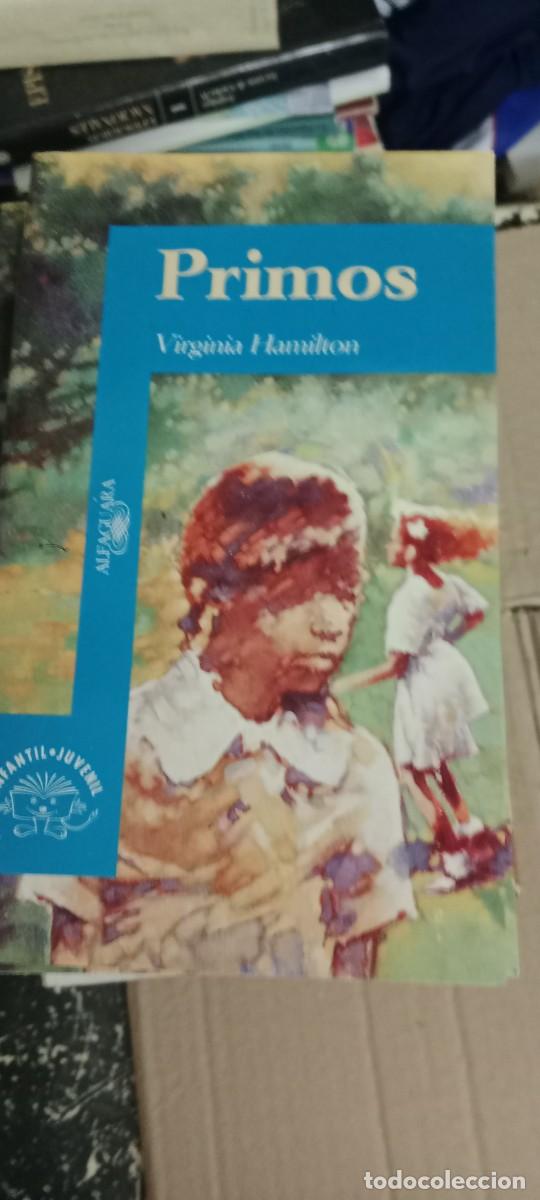 Libros de segunda mano: PRIMOS VIRGINIA HAMILTON ALFAGUARA LIBRO E-SAN