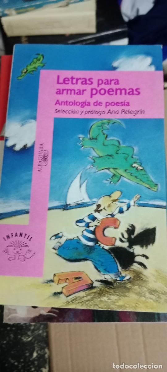 Libros de segunda mano: LETRAS PARA ARMAR POEMAS - ANTOLOGIA DE POESIA - ANA PELEGR&Iacute;N - ALFAGUARA. LIBRO E-SAN