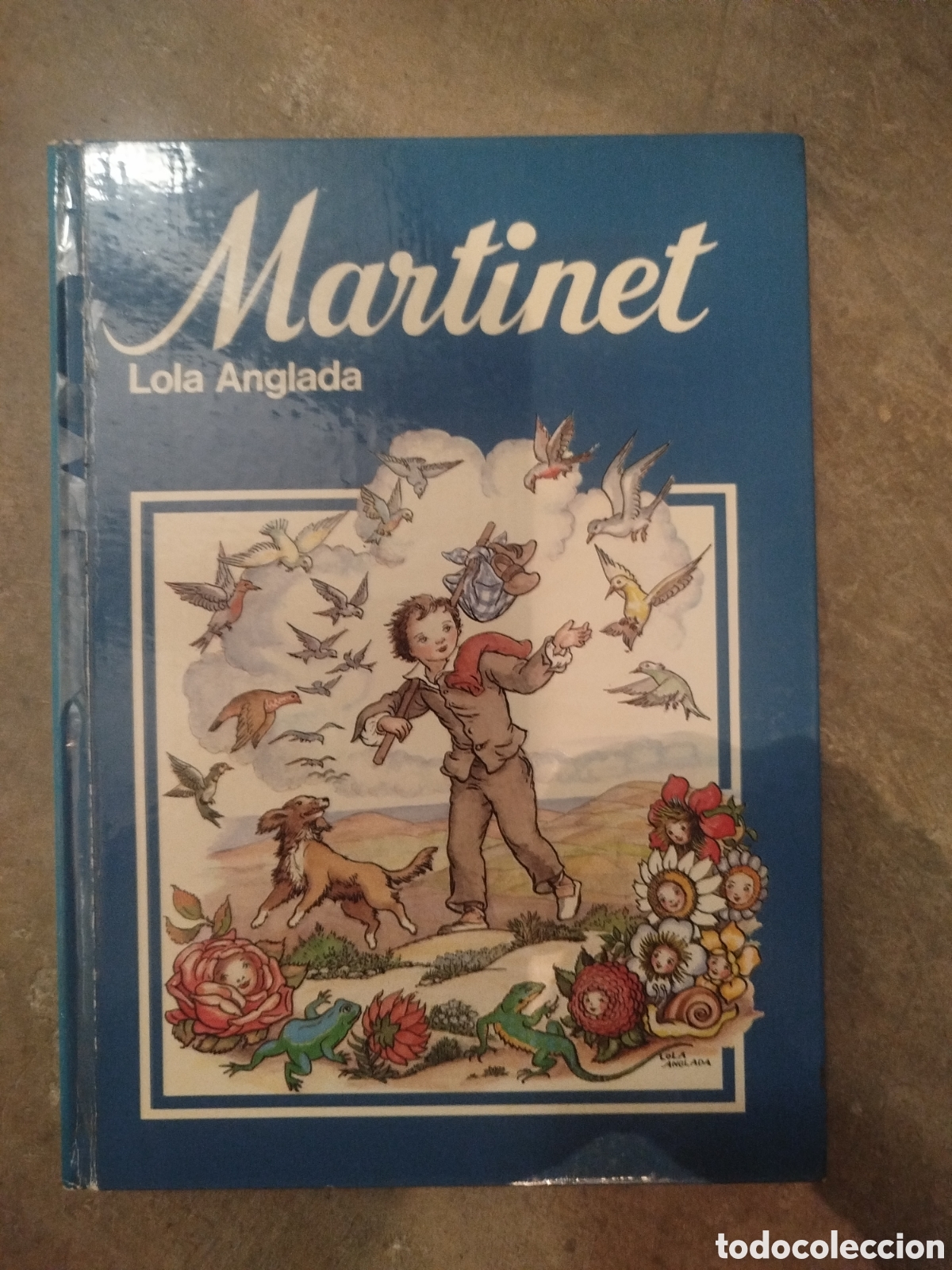 Libros de segunda mano: Llibro Martinet de Lola Anglada