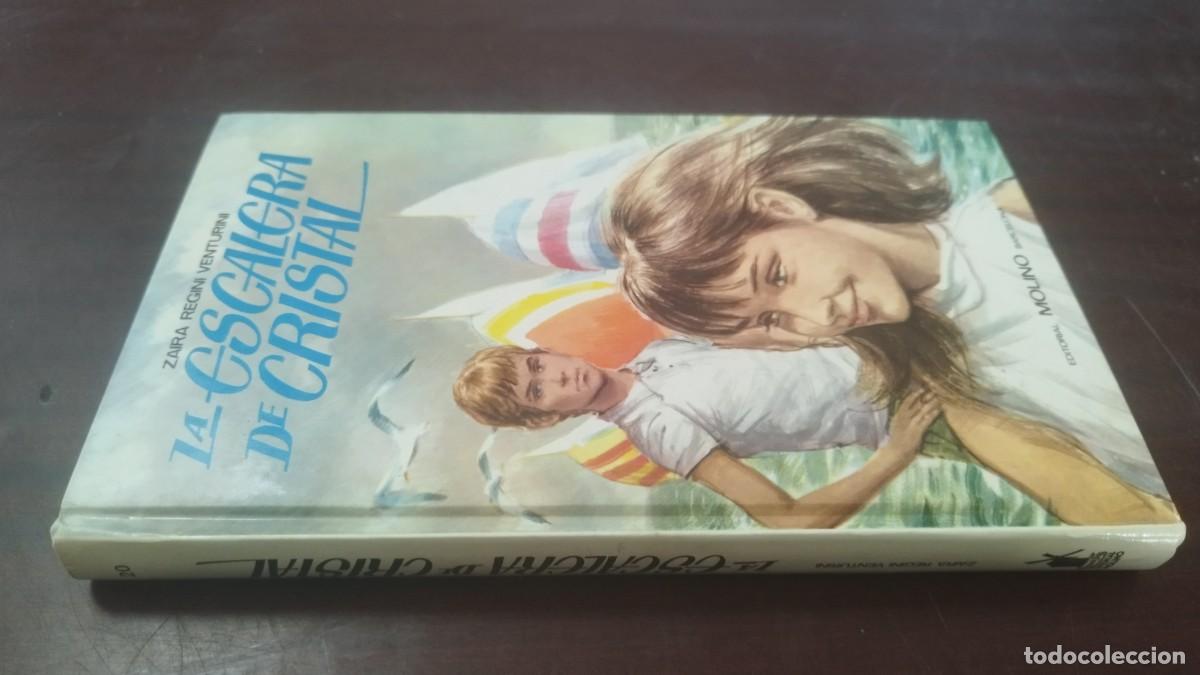 Libros de segunda mano: LA ESCALERA DE CRISTAL / ZAIRA REGINI VENTURINI / Z600 / MOLINO