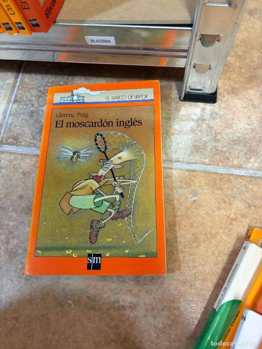 Libros de segunda mano: BLAS98A Lloren&ccedil; Puig &ndash; El moscard&oacute;n ingl&eacute;s &ndash; SM, colecci&oacute;n El Barco de Vapor.