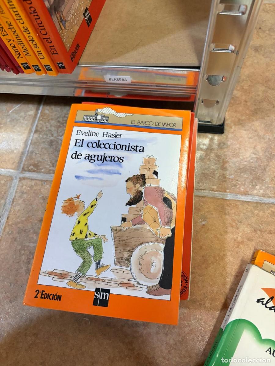 Libros de segunda mano: BLAS98A Eveline Hasler &ndash; El coleccionista de agujeros &ndash; SM, colecci&oacute;n El Barco de Vapor.