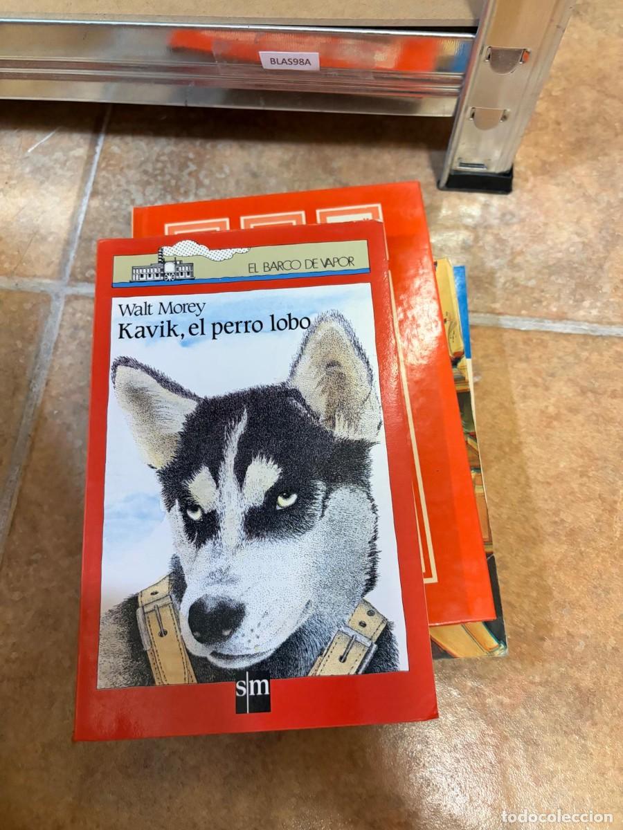 Libros de segunda mano: BLAS98A Walt Morey Kavik, el perro lobo SM (Colecci&oacute;n El Barco de Vapor)