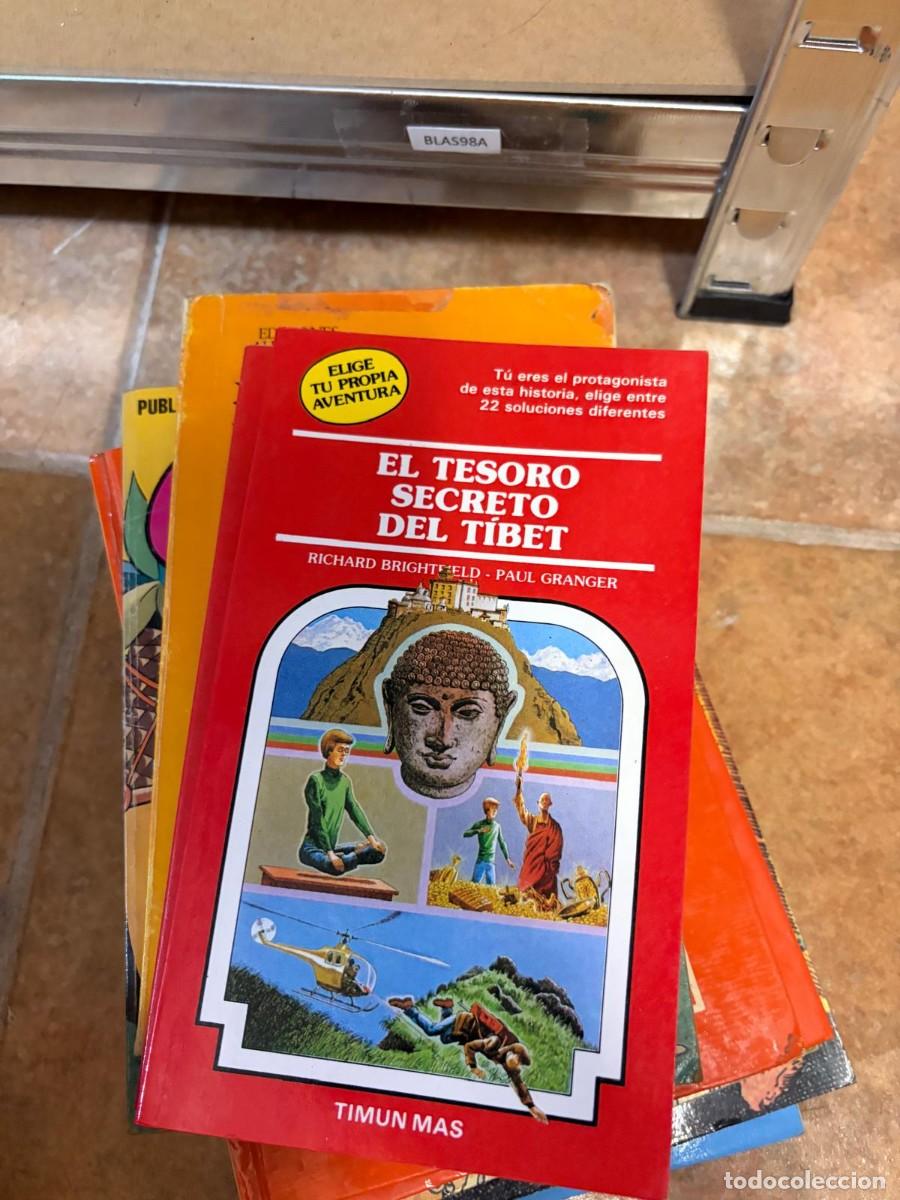 Libros de segunda mano: BLAS98A Richard Brightfield y Paul Granger, El tesoro secreto del T&iacute;bet, Timun Mas.