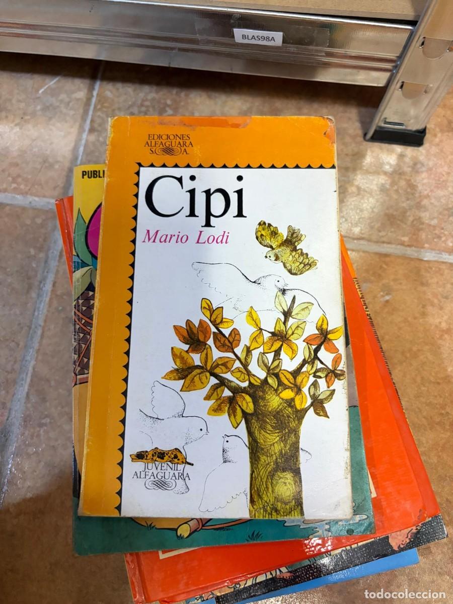 Libros de segunda mano: BLAS98A Mario Lodi, Cipi, Ediciones Alfaguara.