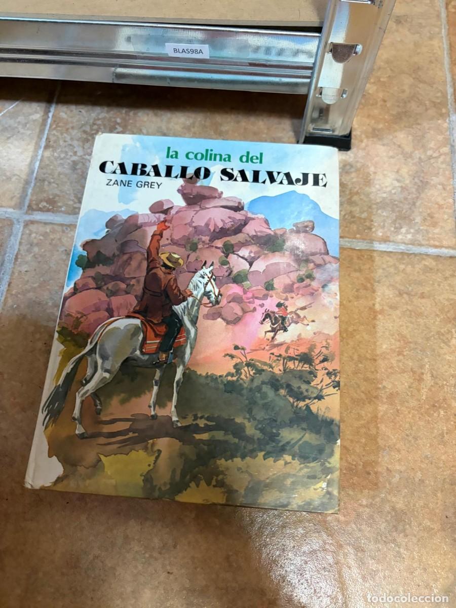 Libros de segunda mano: BLAS98A Zane Grey, La colina del caballo salvaje, Susaeta, colecci&oacute;n Saeta