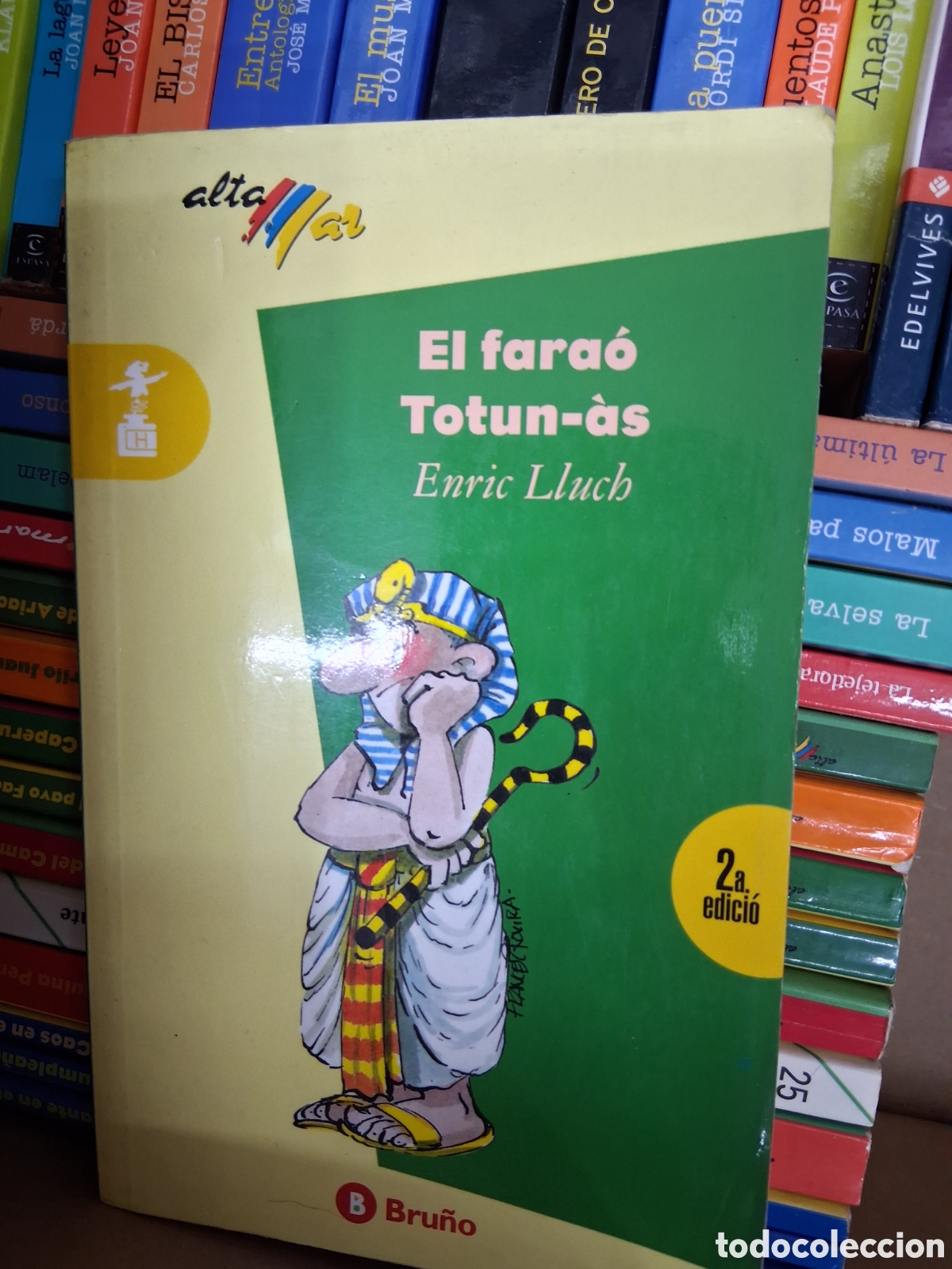Libros de segunda mano: Lote 17 libros Bru&ntilde;o Delta - Foto 2