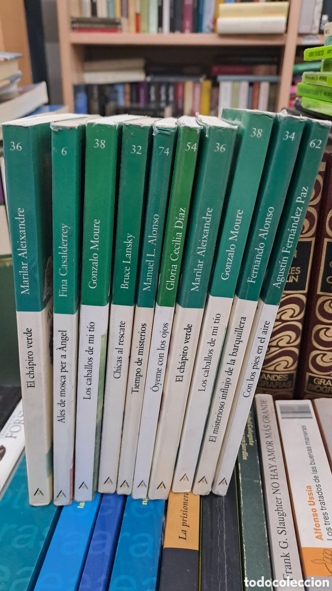 Libros de segunda mano: Lote 10 libros Anaya desde 10 a&ntilde;os