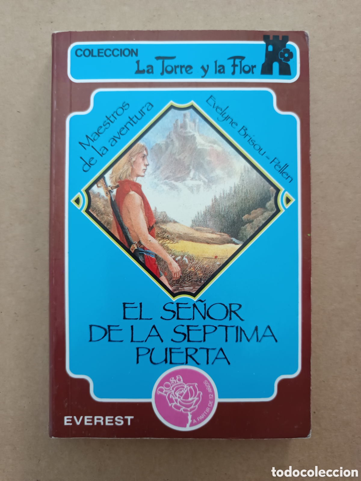 Libros de segunda mano: {&deg;_&deg;} El Se&ntilde;or de la S&eacute;ptima Puerta, por Evelyne Brisou-Pellen (Everest, 1990). La Torre y La Flor.