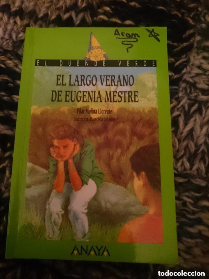 Libros de segunda mano: El LARGO VERANO DE EUFENIA MESTRE