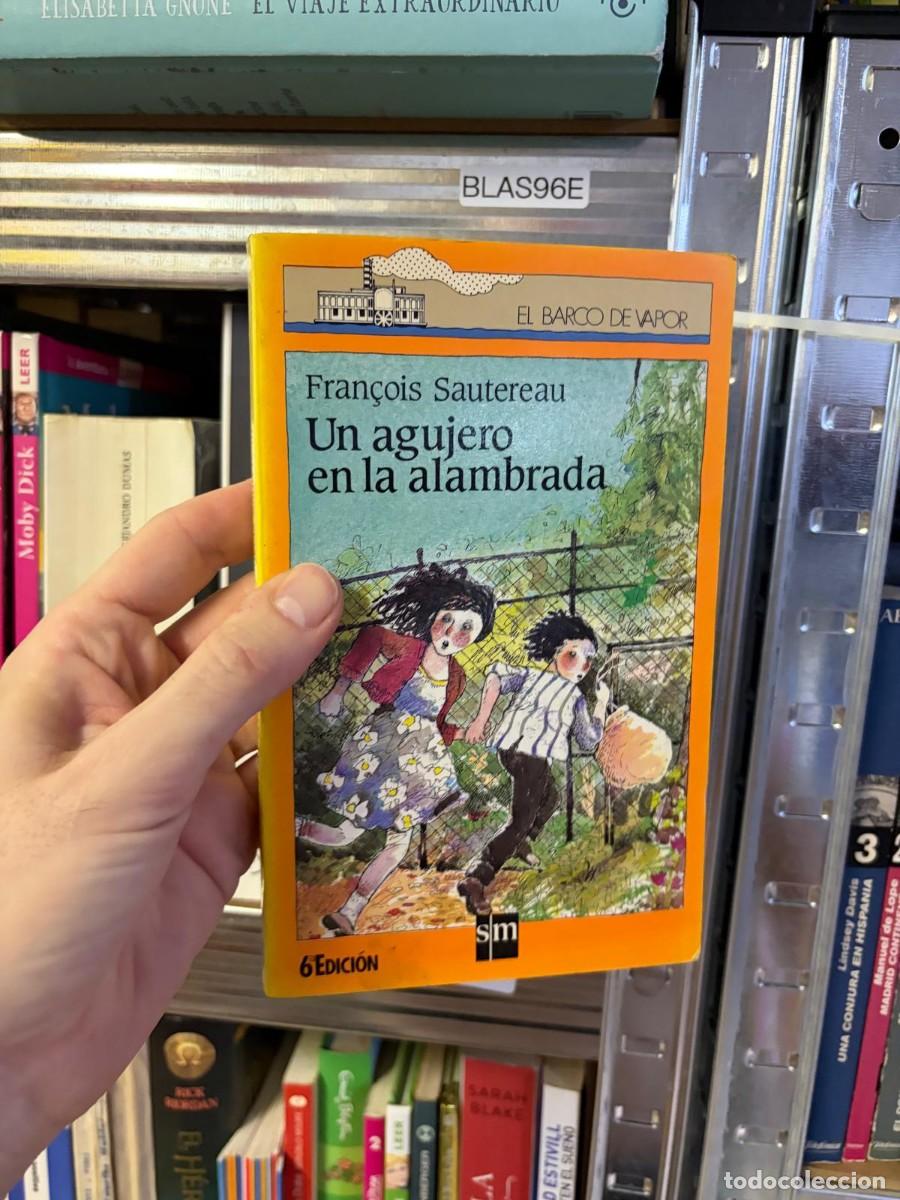 Libros de segunda mano: BLAS96E Un agujero en la alambrada &mdash; Fran&ccedil;ois Sautereau &mdash; SM, El Barco de Vapor