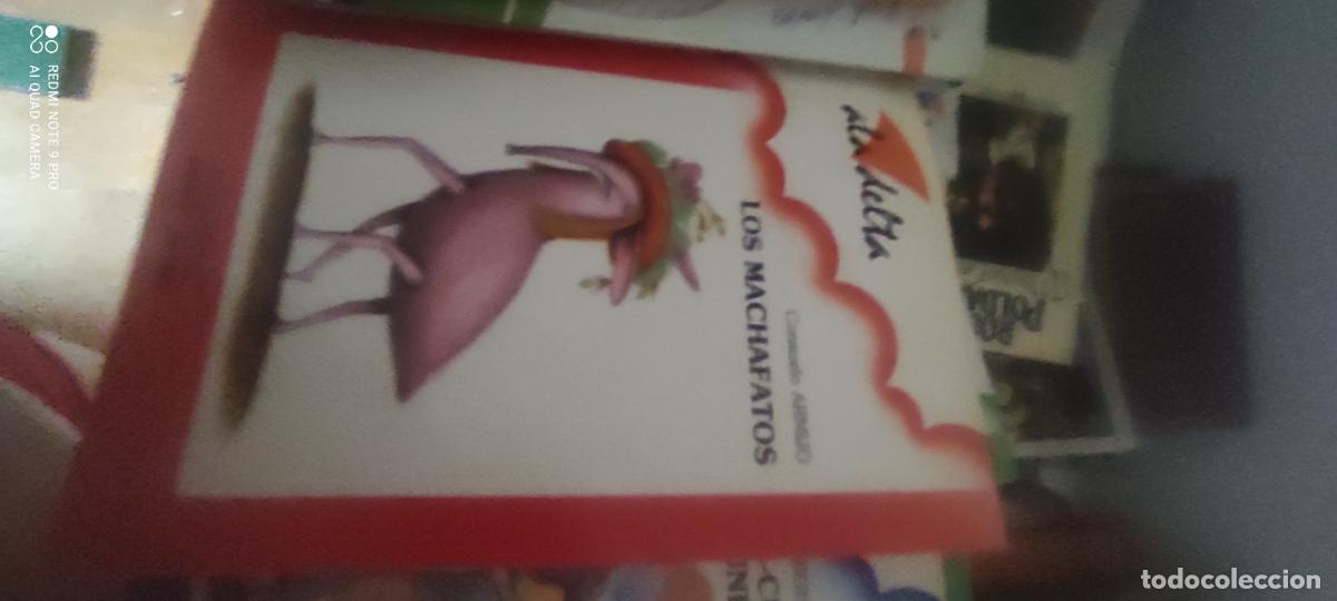 Libros de segunda mano: Los Machafatos, por Consuelo Armijo (Edelvives, 1987). Colecci&oacute;n Ala Delta n&deg;6.