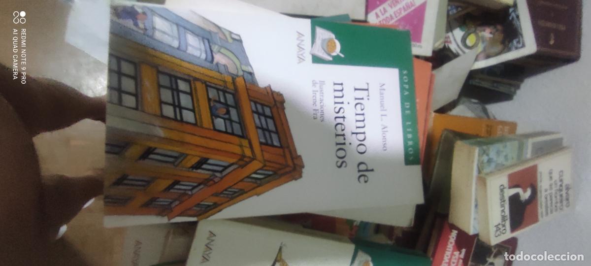 Libros de segunda mano: TIEMPO DE MISTERIOS. MANUEL L. ALONSO. ILUSTRACIONES DE IRENE FRA. ANAYA. SOPA DE LIBROS.