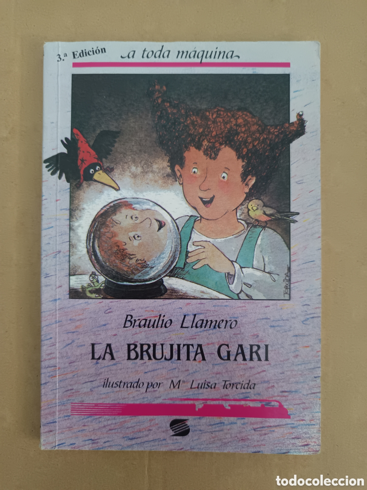 Libros de segunda mano: {&deg;_&deg;} La Brujita Gari, por Braulio Llamero (Susaeta, 1989). A Toda M&aacute;quina n&deg;14. M&ordf; Luisa Torcida.