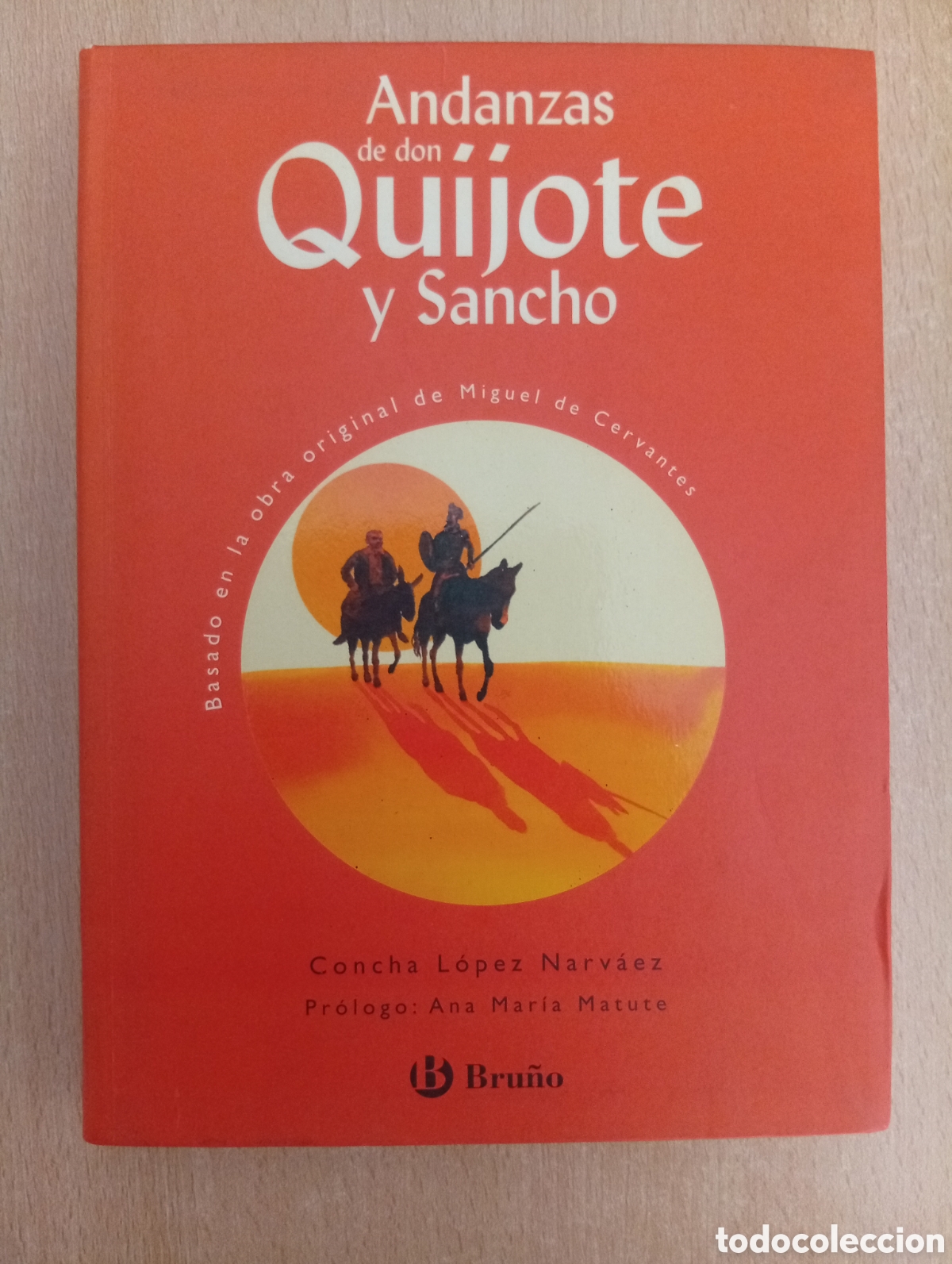 Libros de segunda mano: ANDANZAS DE DON QUIJOTE Y SANCHO. Concha L&oacute;pez Narv&aacute;ez