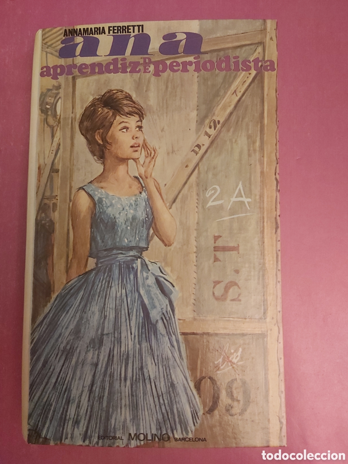 Libros de segunda mano: ANA APRENDIZ DE PERIODISTA ANNA MARIA FERRETTI EDITORIAL MOLINO 1981