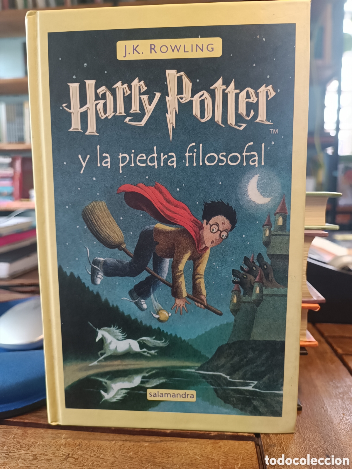 Libros de segunda mano: HARRY POTTER Y la piedra filosofal - J.K. ROWLING - EDICIONES SALAMANDRA - 2001 tapa dura