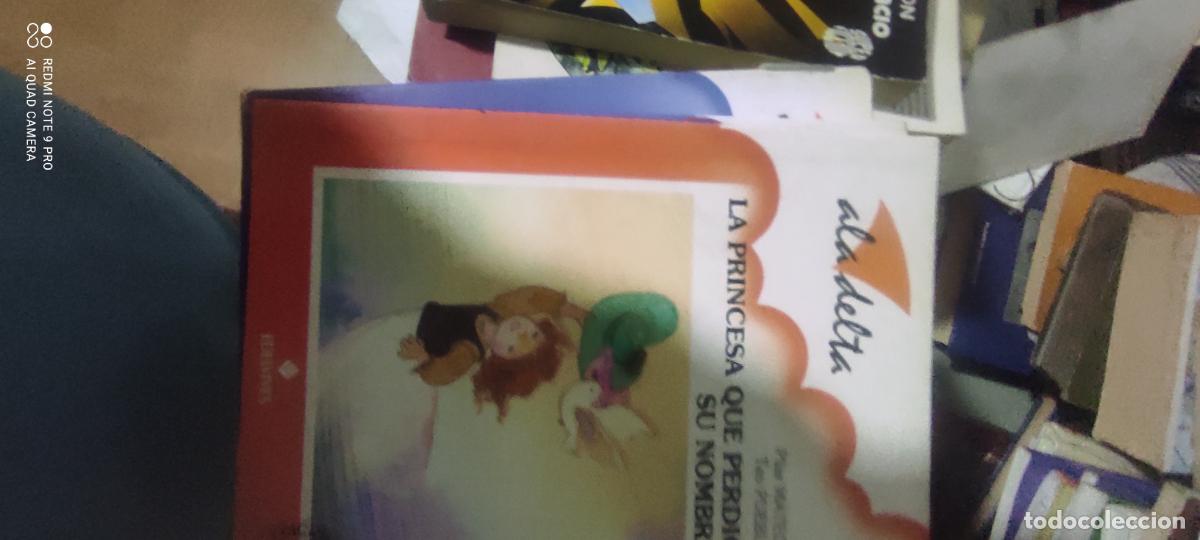 Libros de segunda mano: Ala Delta. La princesa que perdi&oacute; su nombre. Pilar Mateos - Teo Puebla
