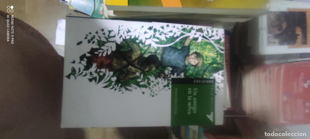 Libros de segunda mano: UN AMIGO EN LA SELVA - ALFREDO GOMEZ CERD&Aacute; - EDELVIVES - 2004