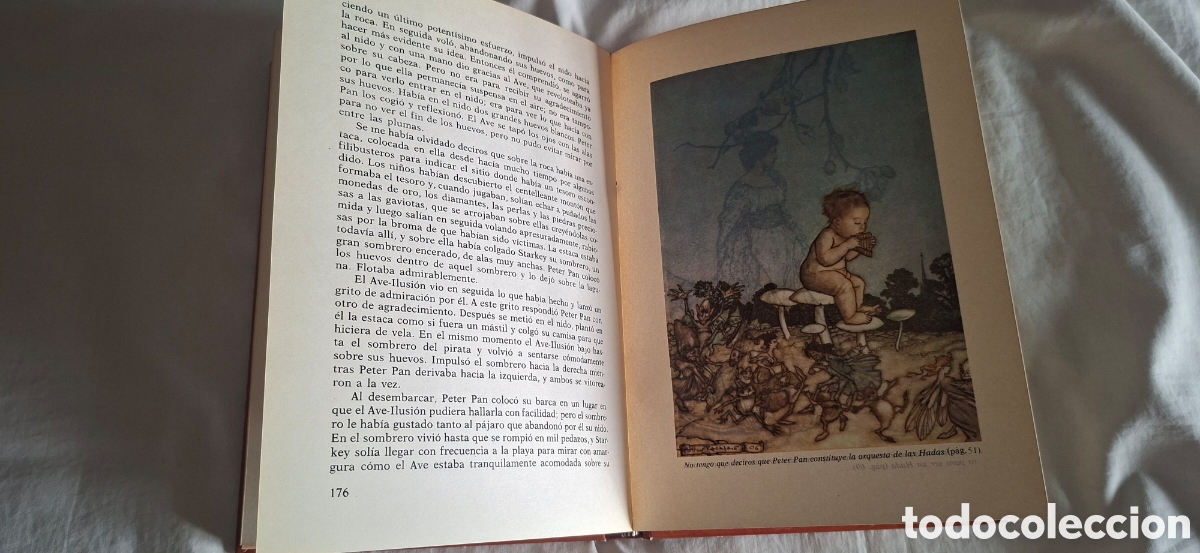 Libros de segunda mano: PETER PAN. Clasicos de la Juventud - Foto 7