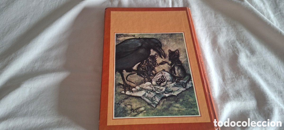 Libros de segunda mano: PETER PAN. Clasicos de la Juventud - Foto 9