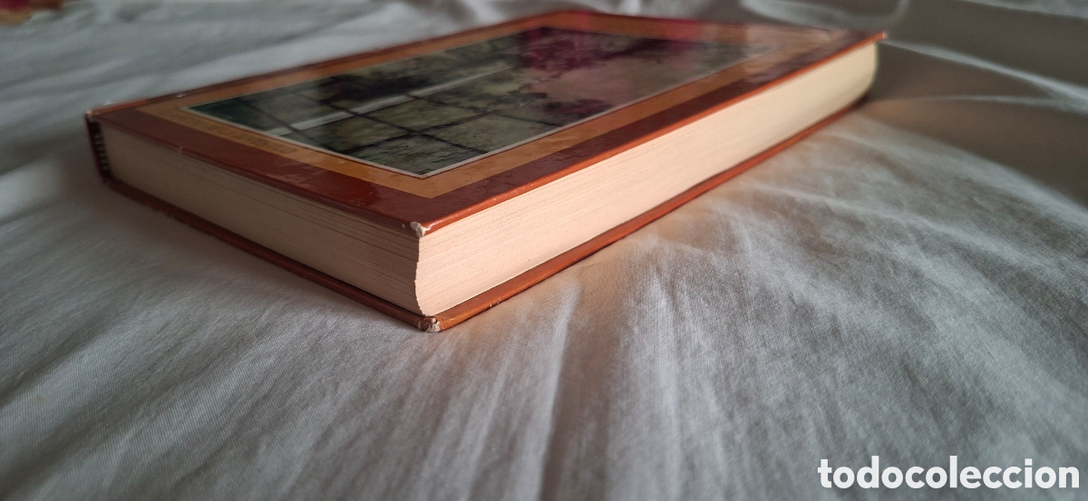 Libros de segunda mano: PETER PAN. Clasicos de la Juventud - Foto 11