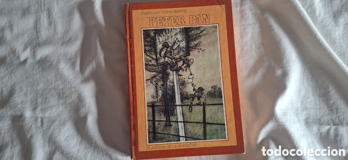 Libros de segunda mano: PETER PAN. Clasicos de la Juventud